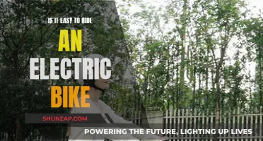 Electric Bikes: Easy Riding or Tricky Terrain?