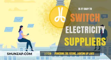 Switching Electricity Suppliers: Is It a Breeze?