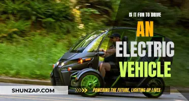 Electric Vehicle Fun: A Smooth, Eco-Friendly Ride