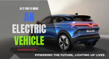 The Joy of Driving Electric: A Fun, Eco-Friendly Experience