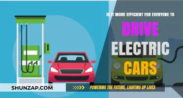 Electric Cars: The Ultimate Efficiency Solution for Modern Drivers?