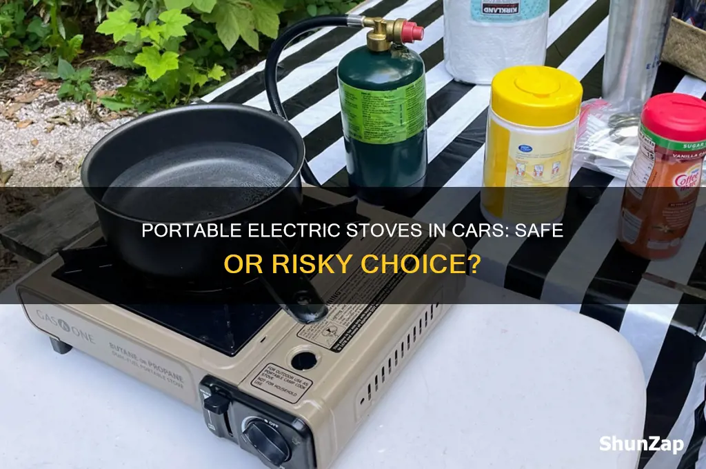 is it okay to use portable electric syove in car