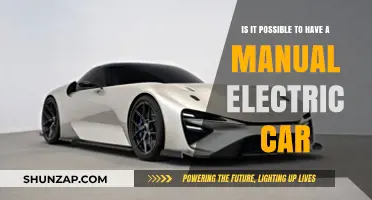 Can Electric Cars Be Manual? Exploring the Possibility of Stick Shift EVs