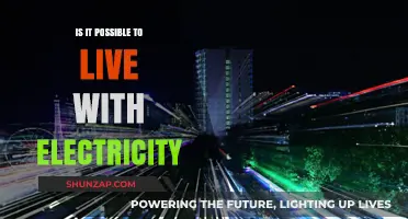 Living Off-Grid: Embracing a Life Without Electricity