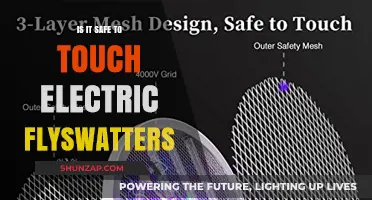 Electric Flyswatters: Safe to Touch?