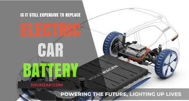 Electric Car Battery Replacement Costs: Still a Pricey Affair?