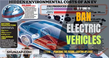 The Future of EVs: Banning or Boosting?