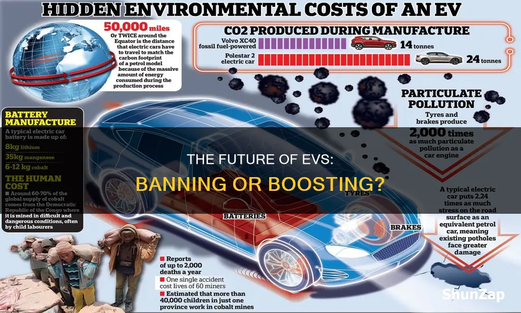 is it time to ban electric vehicles