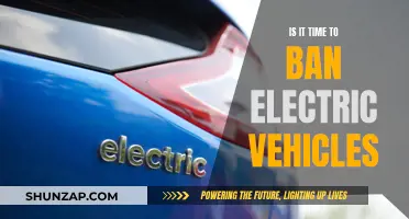 The Future of Electric Vehicles: Ban or Embrace?