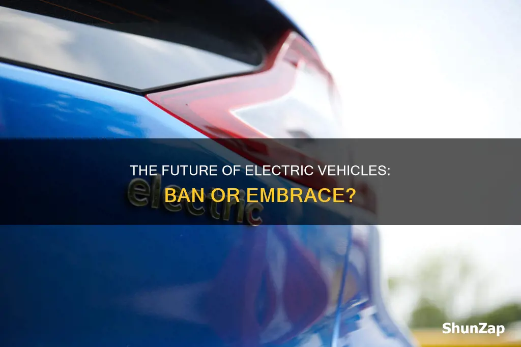 is it time to ban electric vehicles