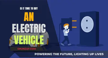 The Future is Electric: Time to Buy?