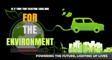 Are Electric Cars Eco-Friendly or Environmentally Harmful?