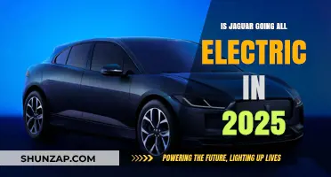 Jaguar's Electric Future: All-In by 2025?