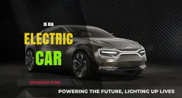 Is Kia's Electric Car Lineup the Future of Sustainable Driving?