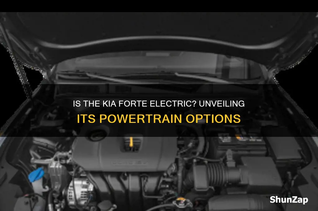 is kia forte an electric car
