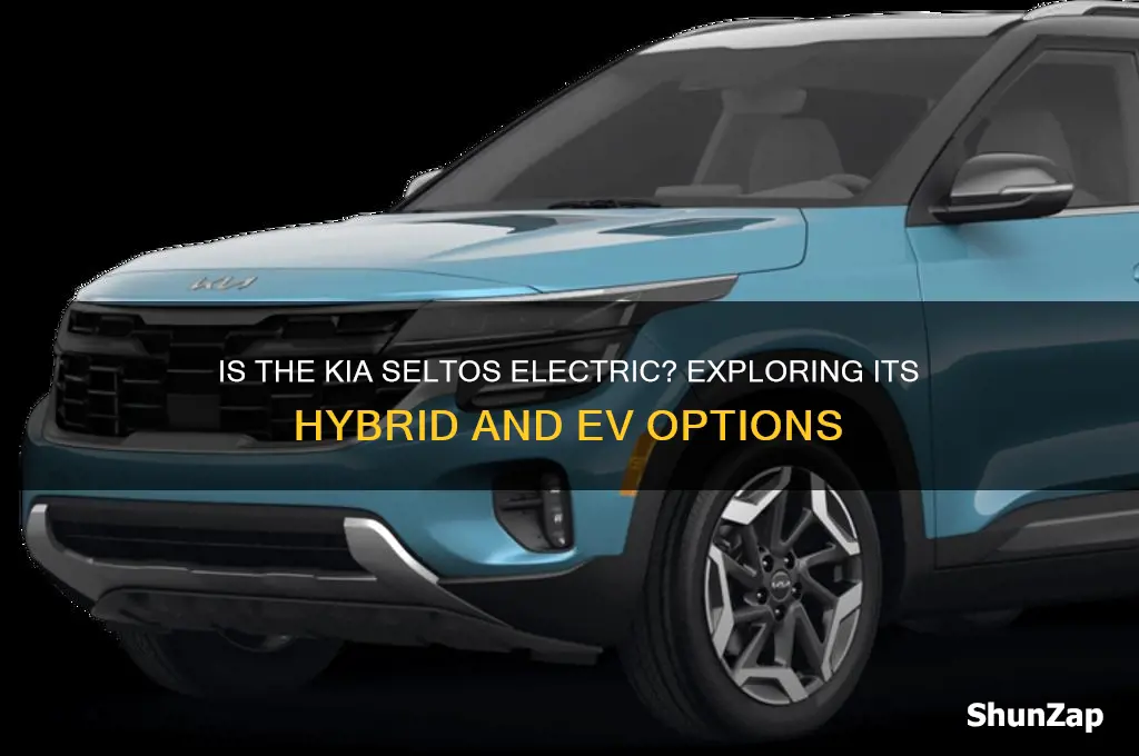 is kia seltos electric car