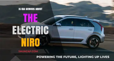 Kia's Electric Niro: A Serious Contender?