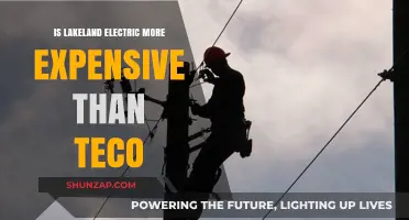 Lakeland Electric vs. Teco: Which Utility Offers Better Rates?