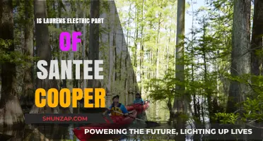 Laurens Electric and Santee Cooper: What's the Connection?