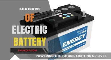The Evolution of Electric Batteries: Lead Acid