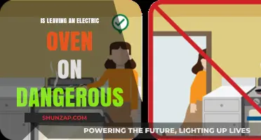 Electric Oven Hazards: Is It Safe to Leave it On?