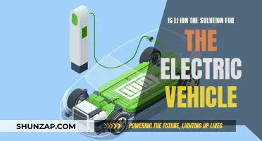 Li-ion: Powering the Future of Electric Vehicles?