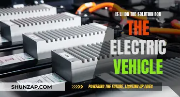 Li-ion Batteries: Powering the Electric Vehicle Revolution?