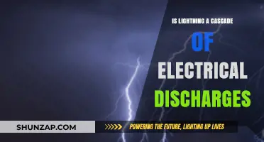 Lightning's Nature: A Cascade of Electrical Discharges