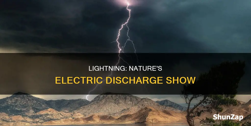 is lightning an example of electric discharge