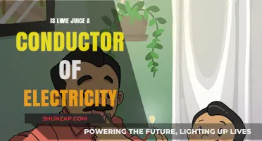 The Conductivity of Lime Juice: Is It Electric?