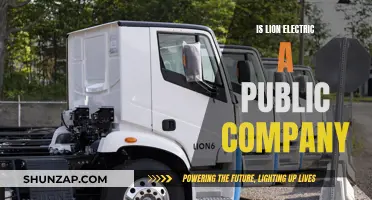 Lion Electric: A Public Company Roars on the Stock Market