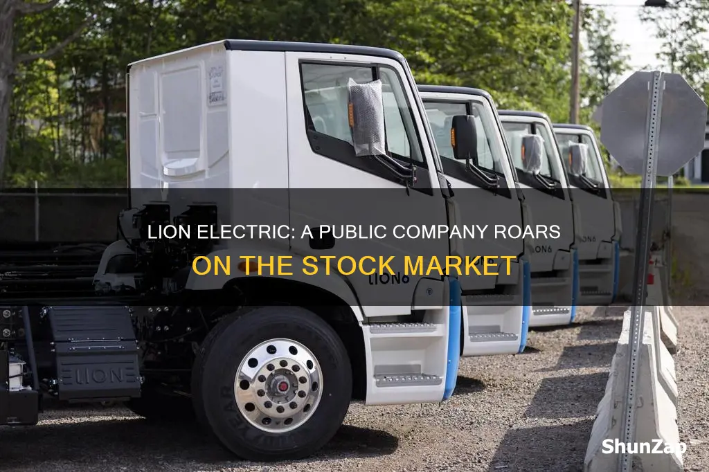 is lion electric a public company