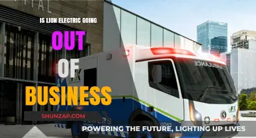 Lion Electric's Future: Is the Company Doomed?