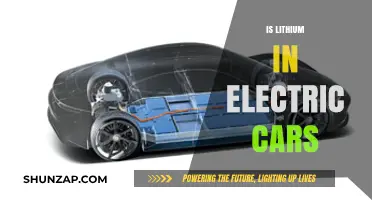 Is Lithium Essential for Electric Car Batteries? Exploring the Facts