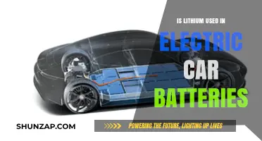 Is Lithium Essential for Electric Car Batteries? Exploring the Facts