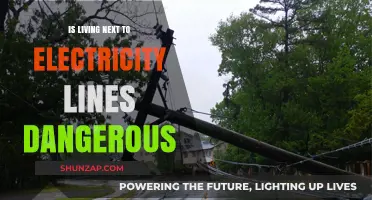 Electricity Lines: Are They Safe Neighbours?