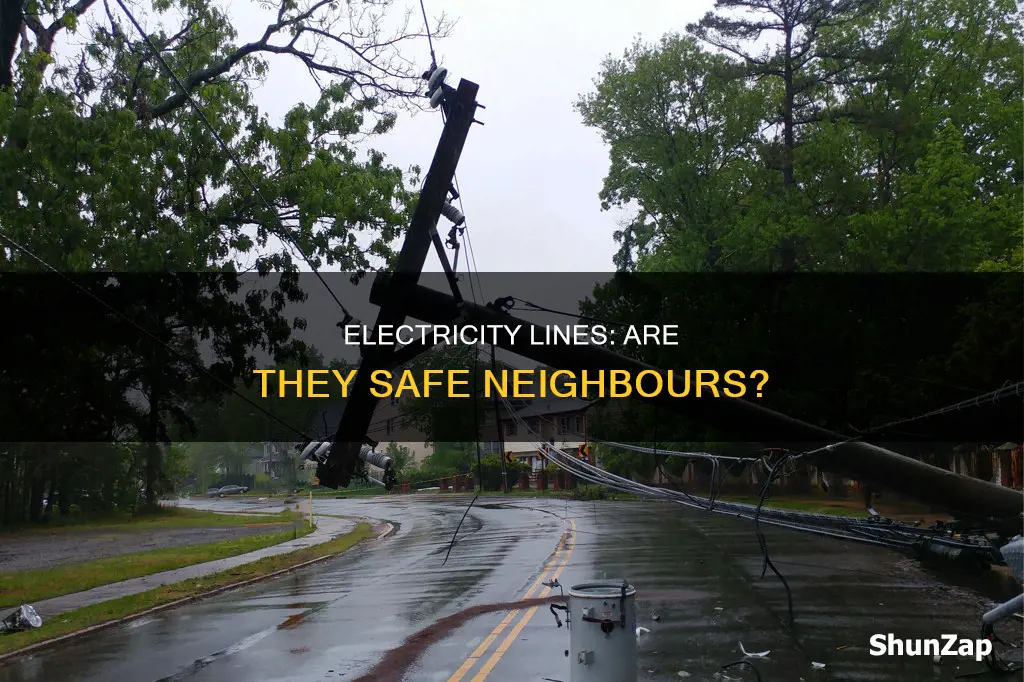 is living next to electricity lines dangerous