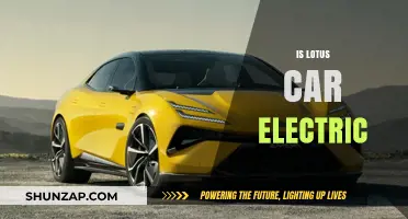 Is the Lotus Car Electric? Exploring Its Powertrain Evolution