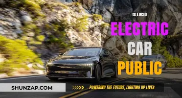 Is Lucid Electric Car Publicly Traded? Ownership Explained
