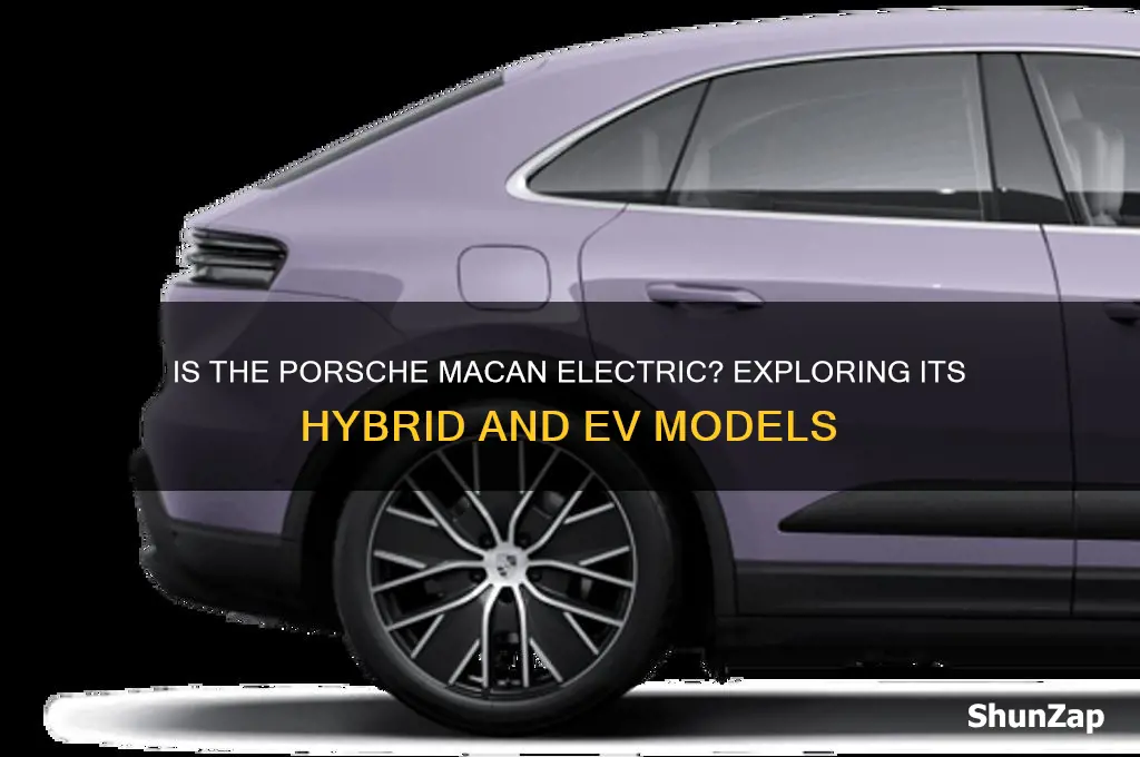 is macan an electric car
