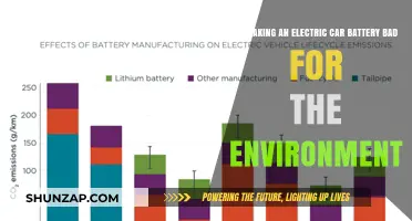 Electric Car Batteries: Environmental Impact of Production and Disposal