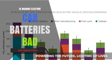 Are Electric Car Batteries Harmful to the Environment and Society?