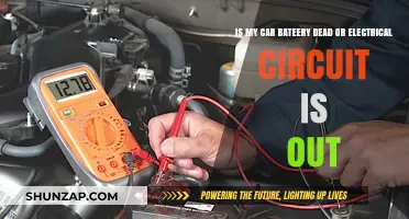 Dead Battery or Electrical Issue: Diagnosing Your Car's Power Problem