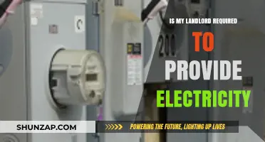 Your Rights: Electricity Provision by Landlords
