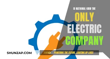 Electric Companies: National Grid's Competitors and Alternatives