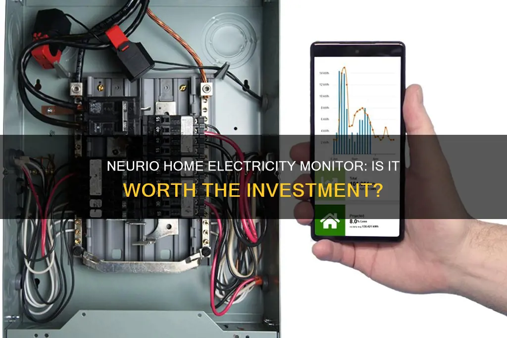 is neurio home electricity monitor worth it