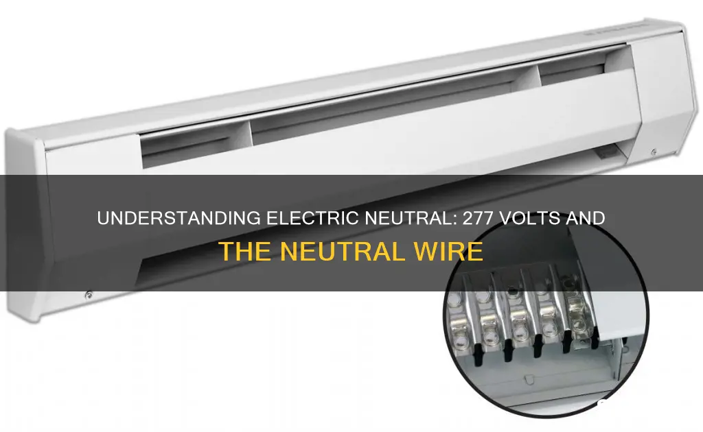 is neutral hot on 277 volt electric