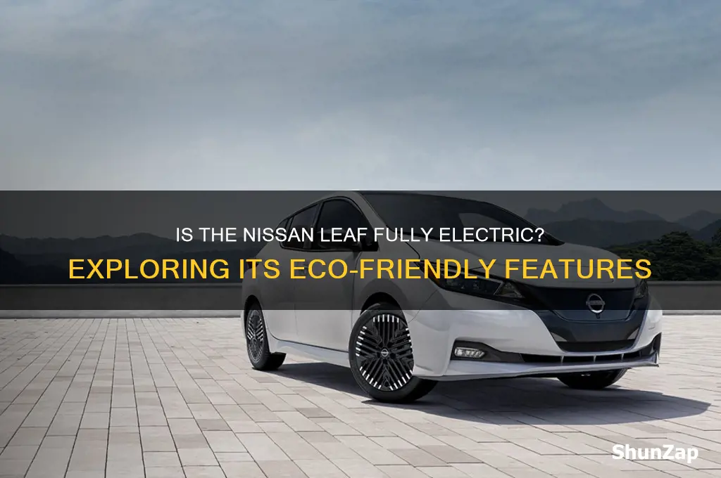 is nissan leaf an electric car
