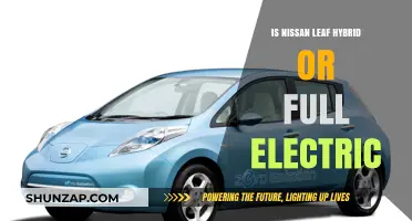 Nissan Leaf: Hybrid or Electric?