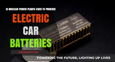 Nuclear Power Plants: Powering Electric Car Battery Production?